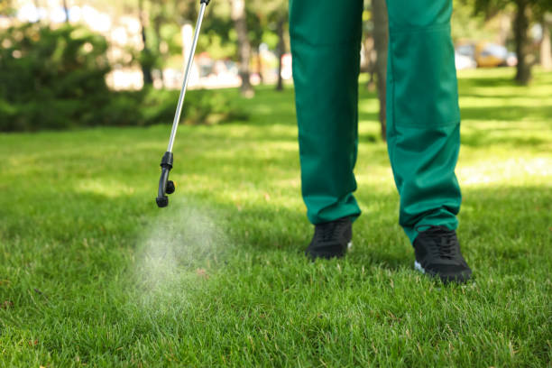 Best Ant Control Services  in Pleasureville, KY