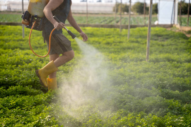 Best Mosquito Control Services  in Pleasureville, KY